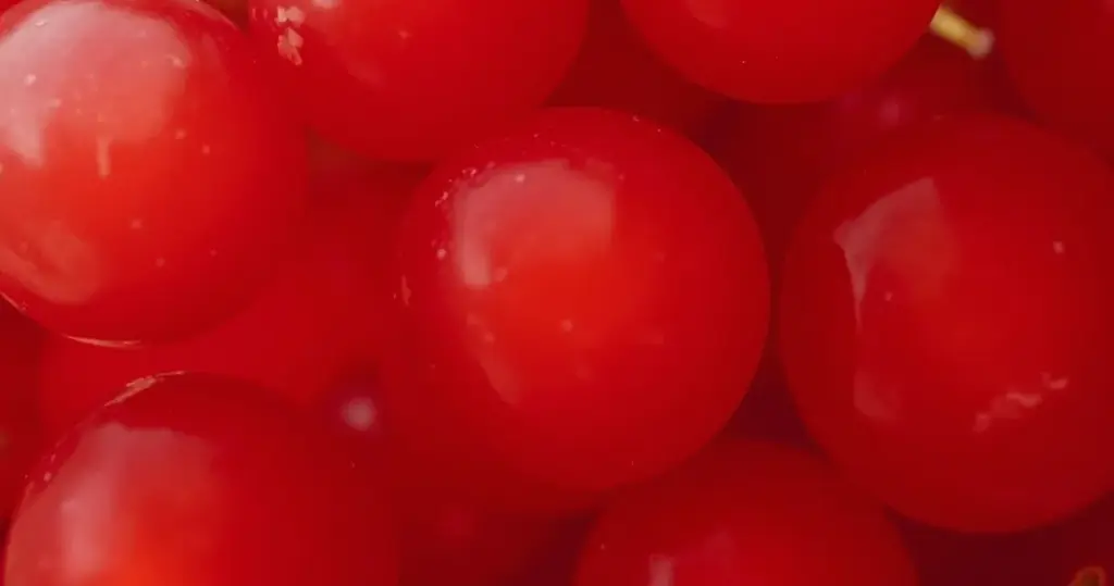 Vermelho Cereja: A Cor Que Vai Dominar Seu Visual em 2026 Vermelho Cereja: A Cor Que Vai Dominar Seu Visual em 2026