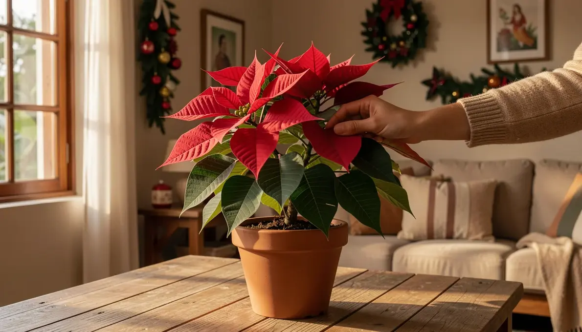 26 Ideias para sua ESTRELA DE NATAL durar mais (Fácil)